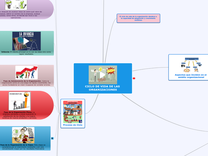 CICLO DE VIDA DE LAS ORGANIZACIONES Mind Map